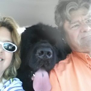 Meet your Posher, Victor